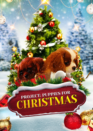 Puppies for Christmas